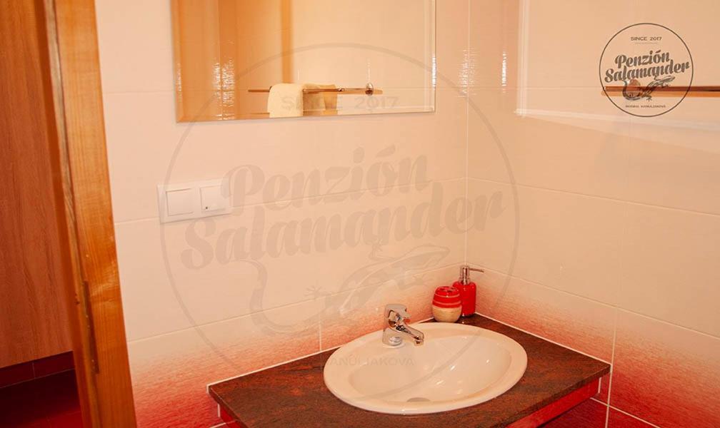 Penzion Salamander Terchová Extérieur photo